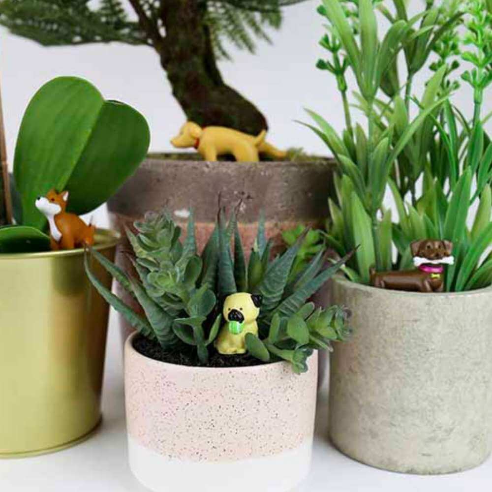 Adorable Dogs Plant Markers - Funky Gifts NZ