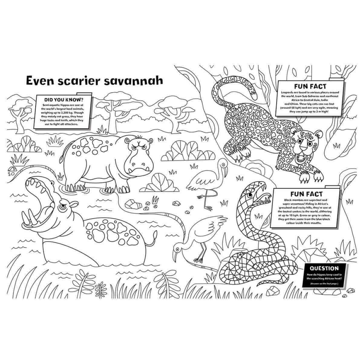 Colouring Book - Fantastic Fact-Filled Dangerous Animals - Funky Gifts NZ