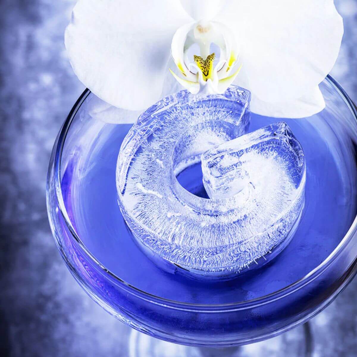 Ice Cube Tray - G For Gin Lovers - Funky Gifts NZ