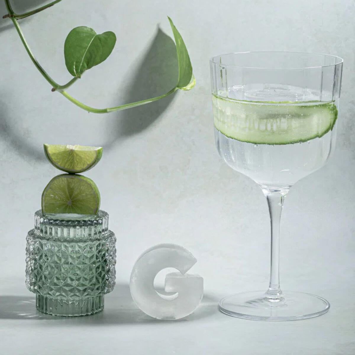 Ice Cube Tray - G For Gin Lovers - Funky Gifts NZ