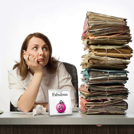 The Daily Mood Flip Book - Funky Gifts NZ