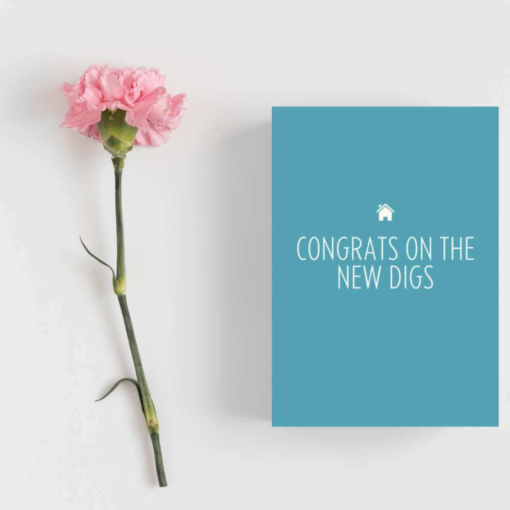 Greeting Card - New Digs - Funky Gifts NZ