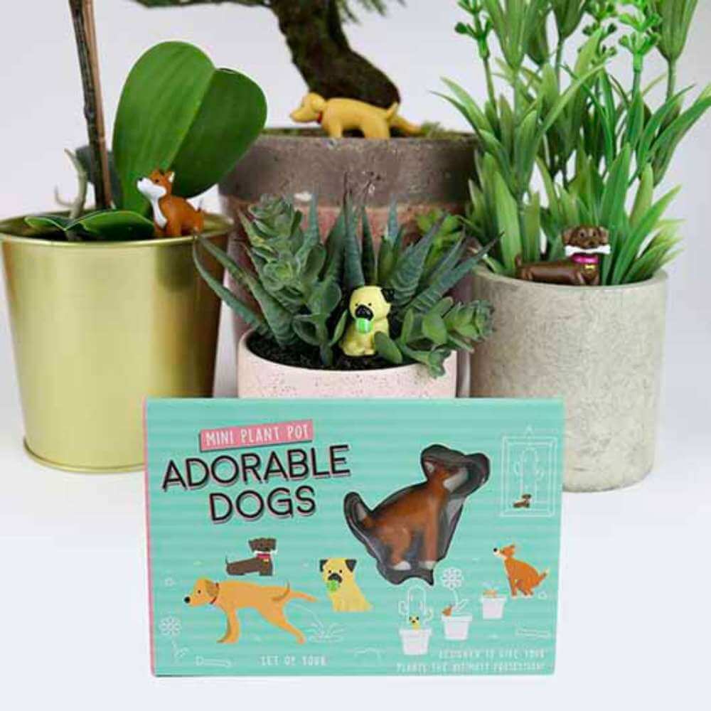 Adorable Dogs Plant Markers - Funky Gifts NZ