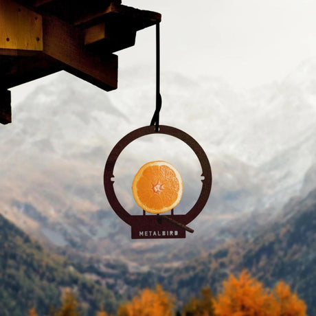 Metalbird Hanging Bird Feeder - Funky Gifts NZ