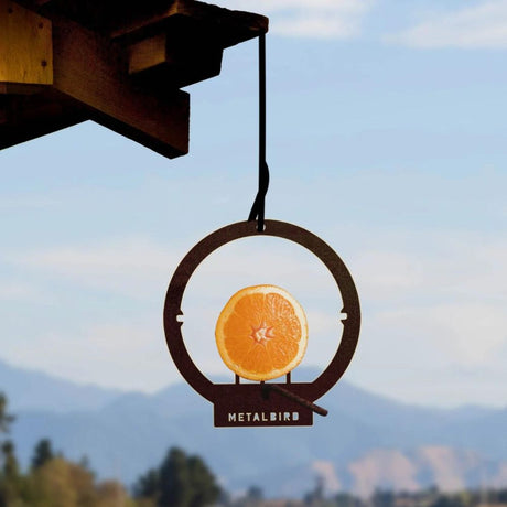 Metalbird Hanging Bird Feeder - Funky Gifts NZ