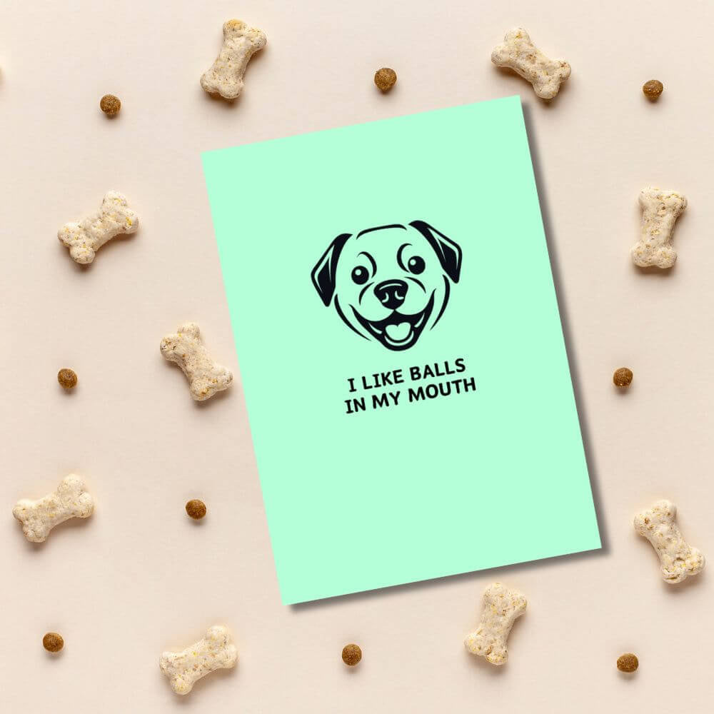 Greeting Card - I Like Balls - Funky Gifts NZ