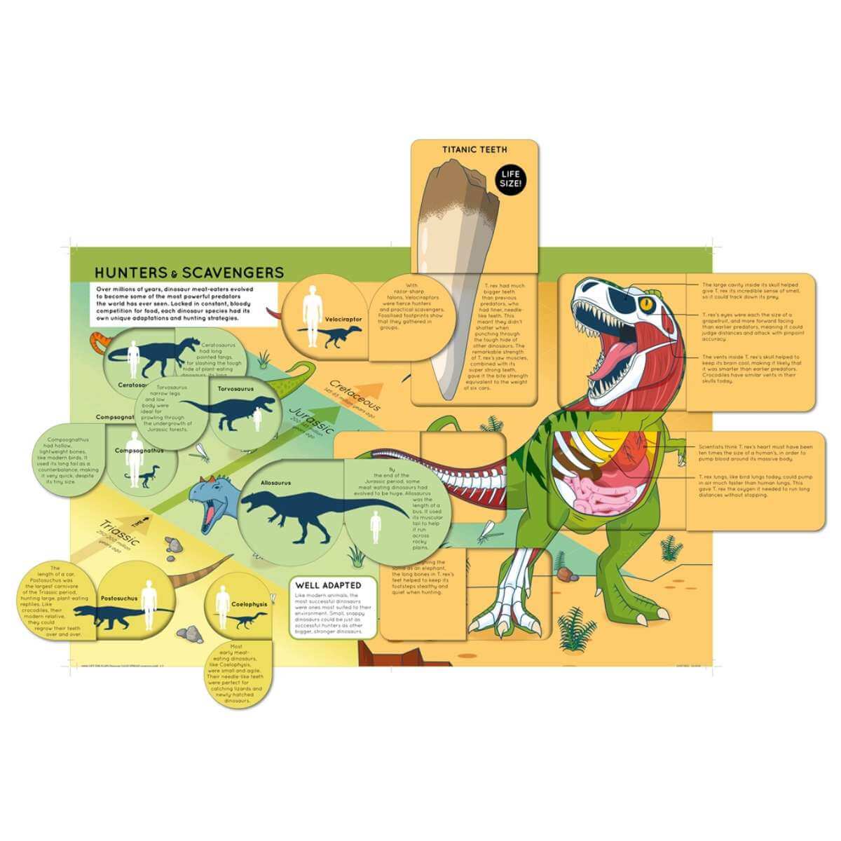 Lift The Flaps Book - Dinosaurs - Funky Gifts NZ