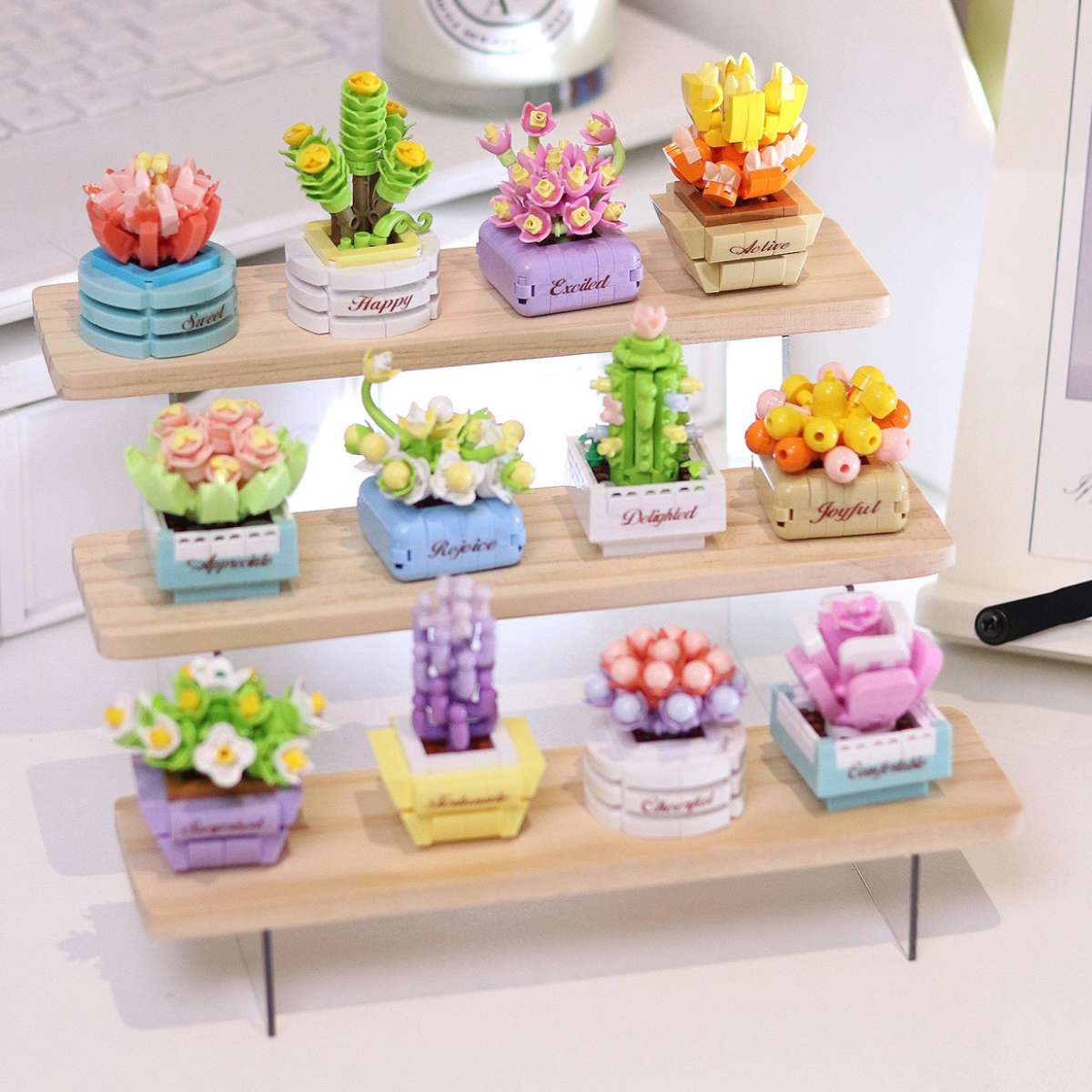 Koco_Bricks___Bloom_Boutique___Succulent_Potted_Plants.jpg