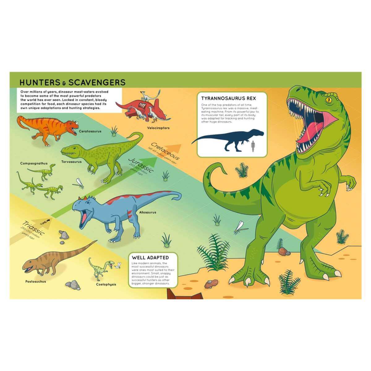 Lift The Flaps Book - Dinosaurs - Funky Gifts NZ