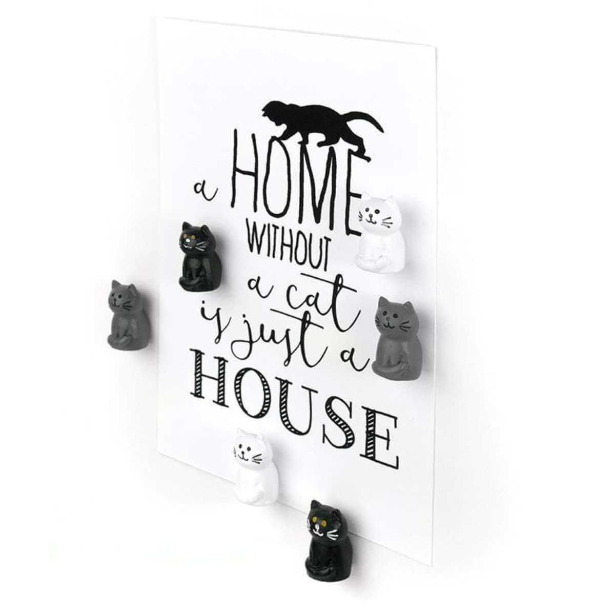 Cat Magnets - Funky Gifts NZ