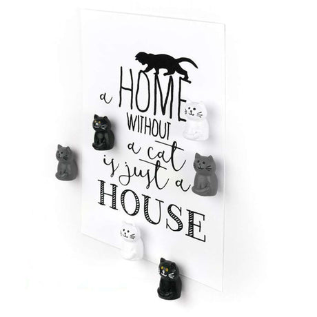 Cat Magnets - Funky Gifts NZ