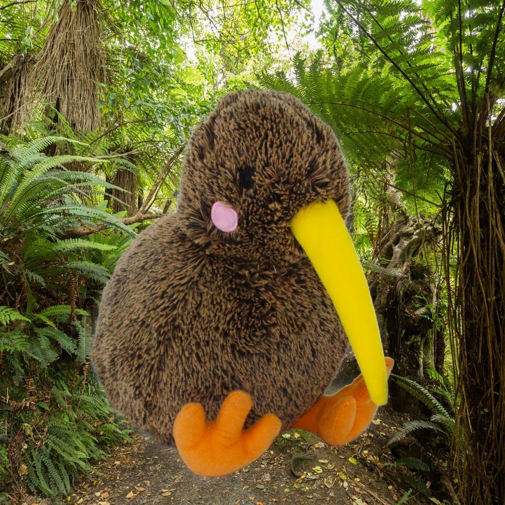 Kimi the Kiwi Soft Toy - Funky Gifts NZ