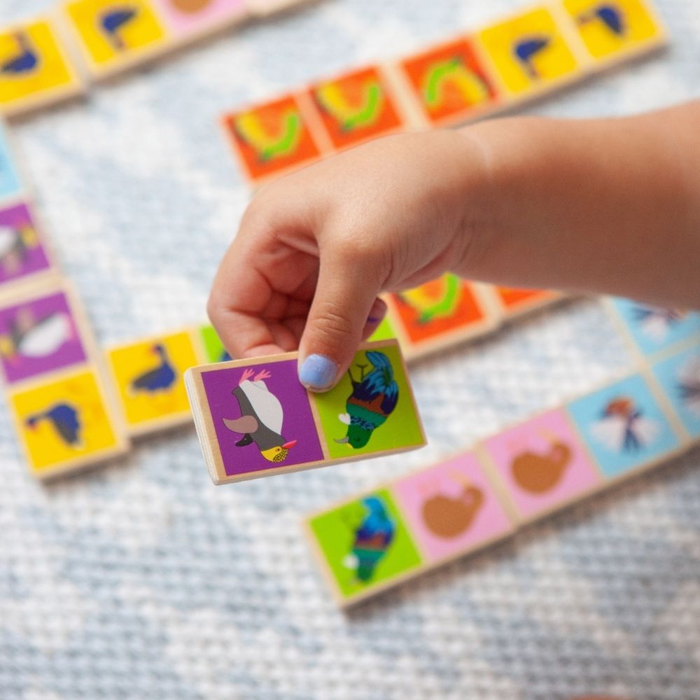 Moana Road - Wooden NZ Birds Dominoes - Funky Gifts NZ