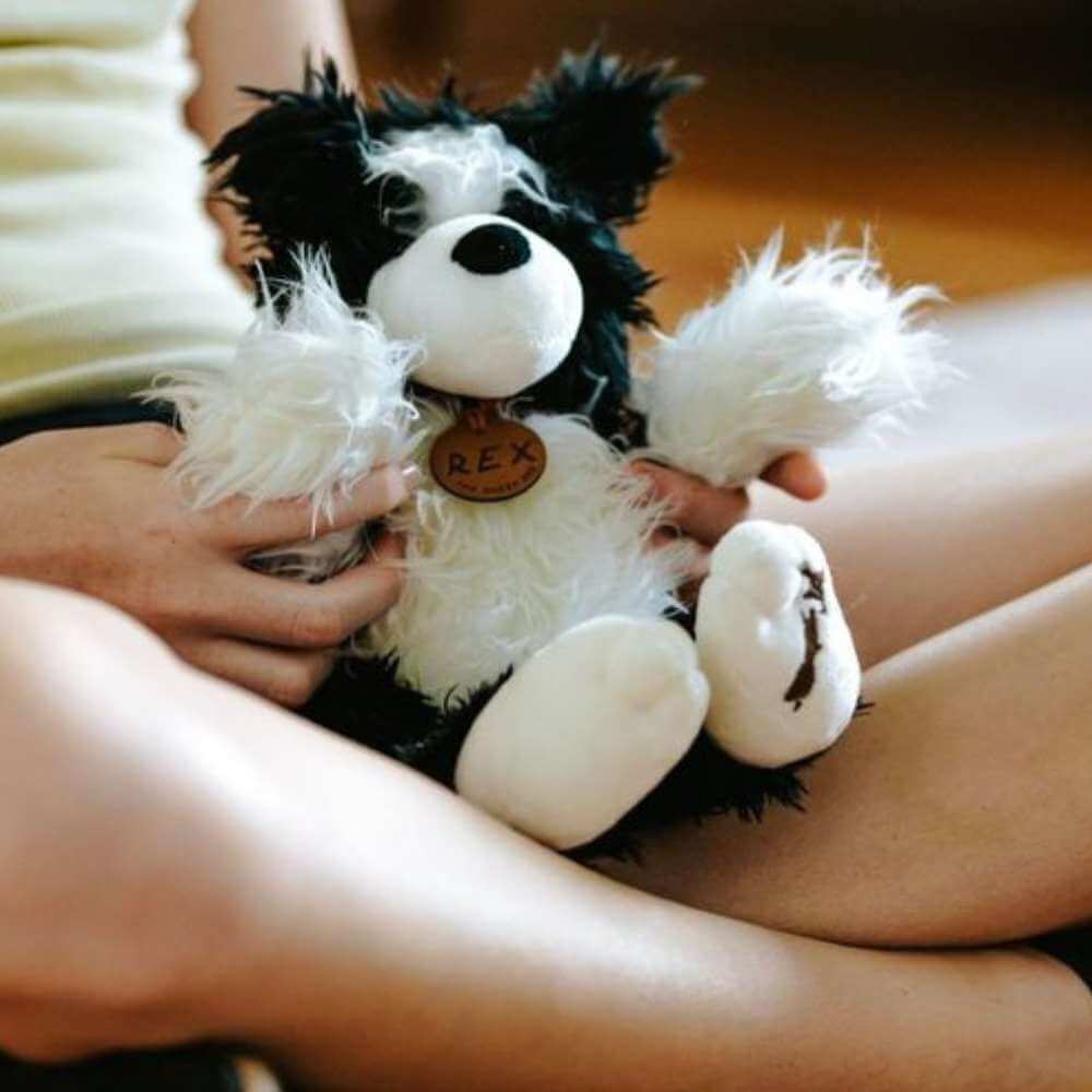 Rex The Sheep Dog - Funky Gifts NZ