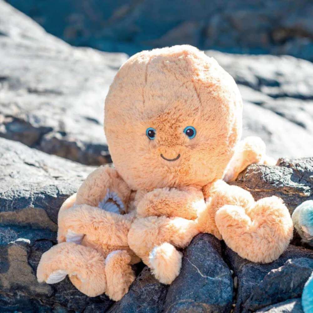 Ollie Octopus - Funky Gifts NZ