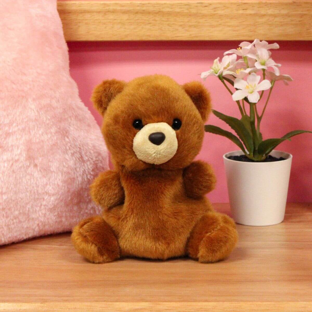 Palm Pals - Artie Bear - Funky Gifts NZ