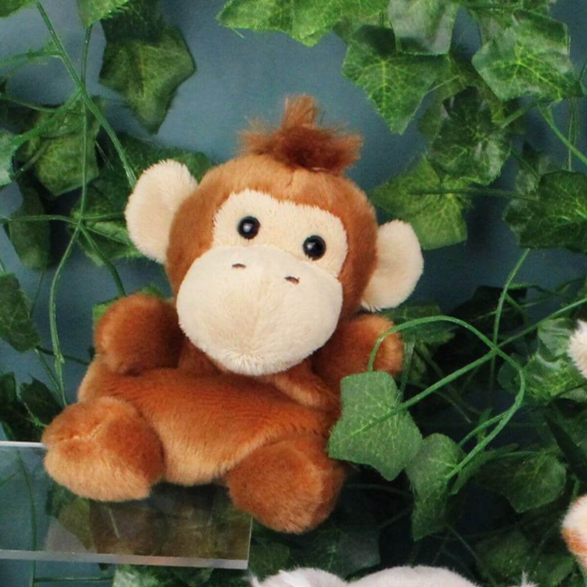 Palm Pals - Boomer Monkey - Funky Gifts NZ