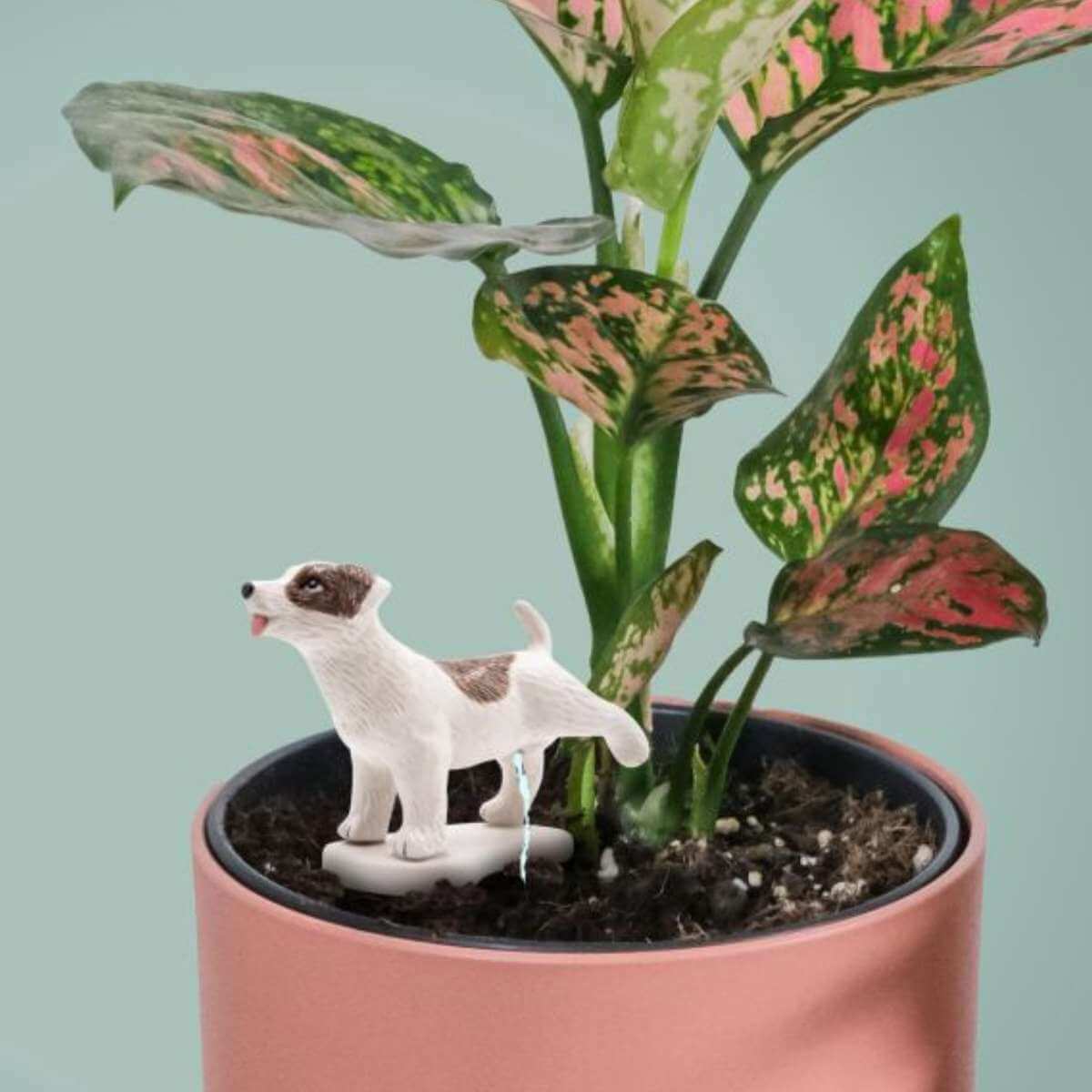 Pee My Plants Dog Waterer - Funky Gifts NZ
