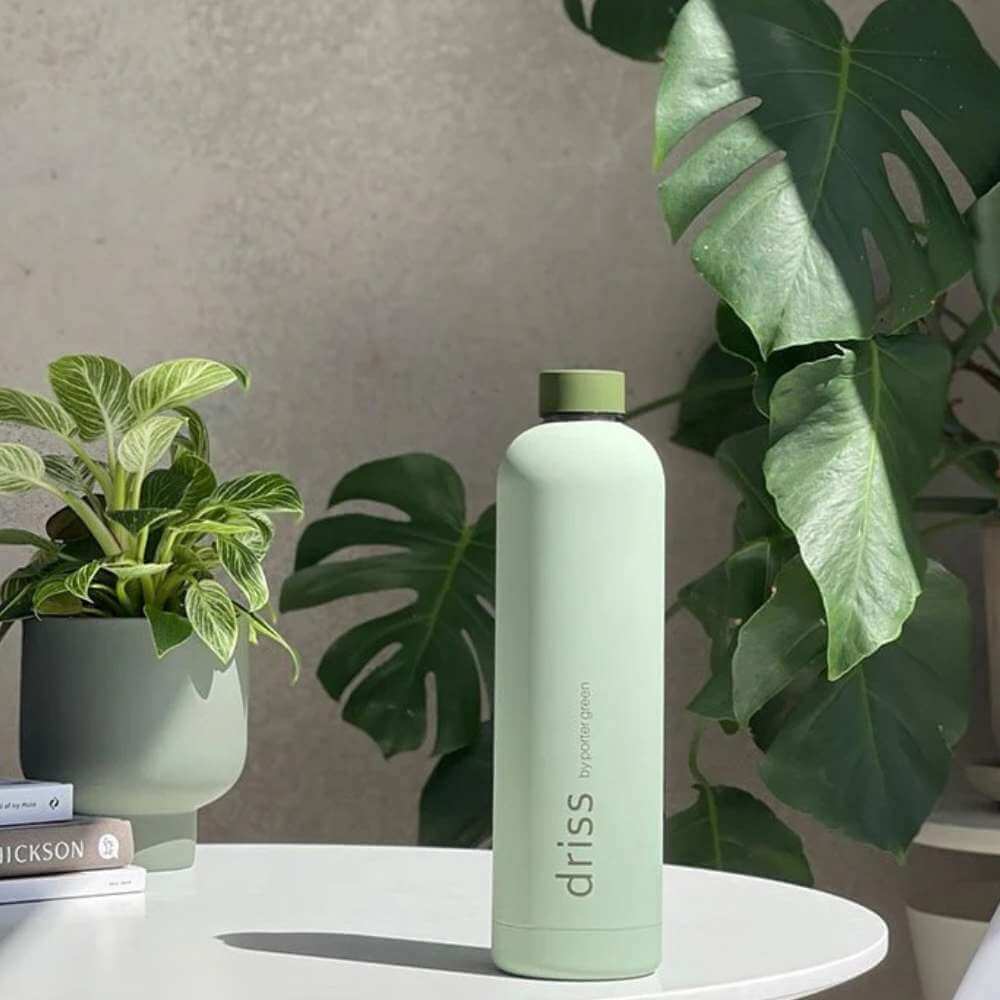 Driss Insulated Stainless Steel Water Bottle Sage + Olive - Funky Gifts NZ