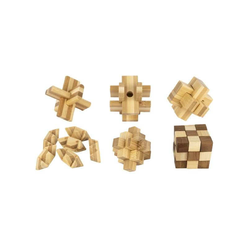 Ecological Brainteasers 6 Pack - Funky Gifts NZ