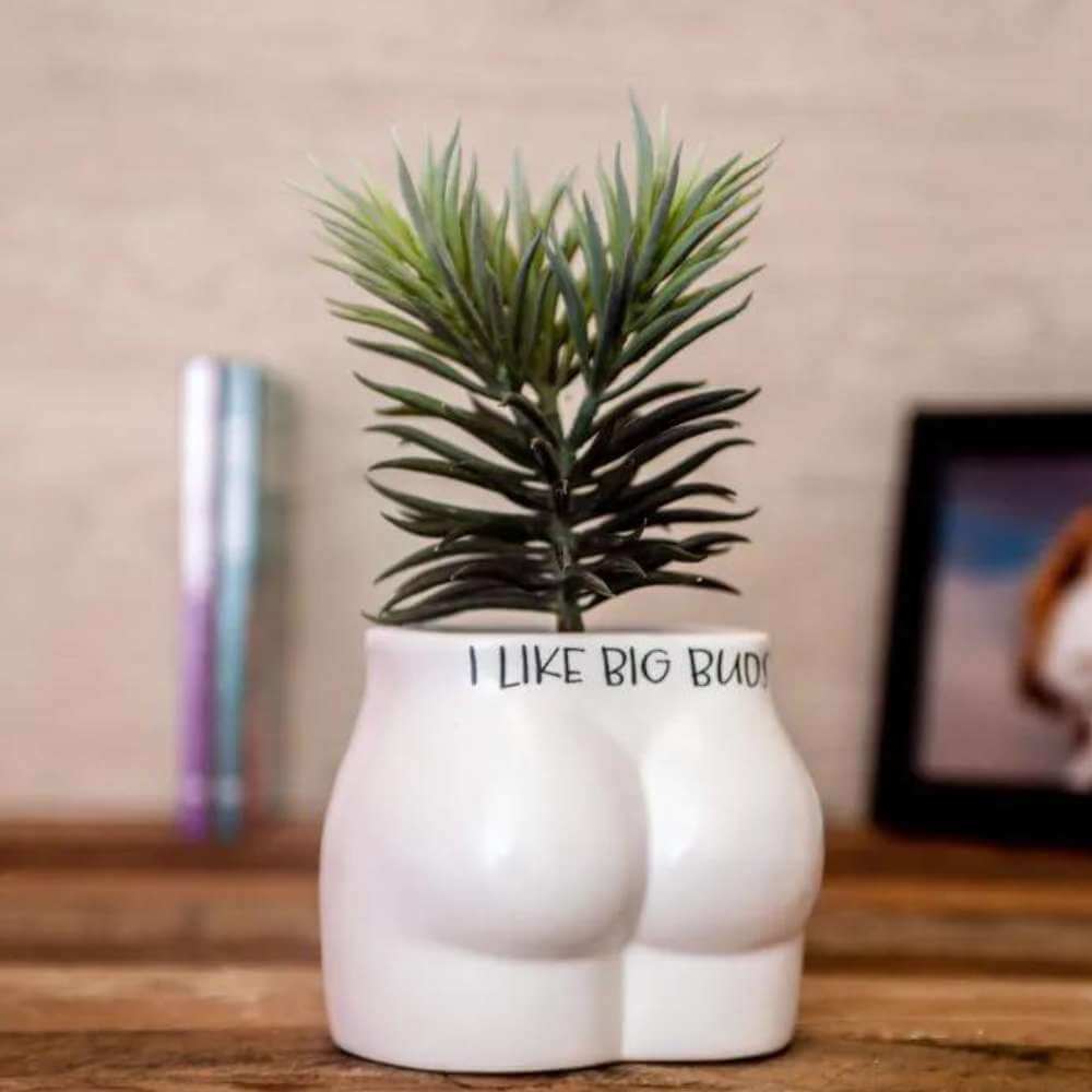 Put Some Plants On Planter - I Like Big Buds - Funky Gifts NZ