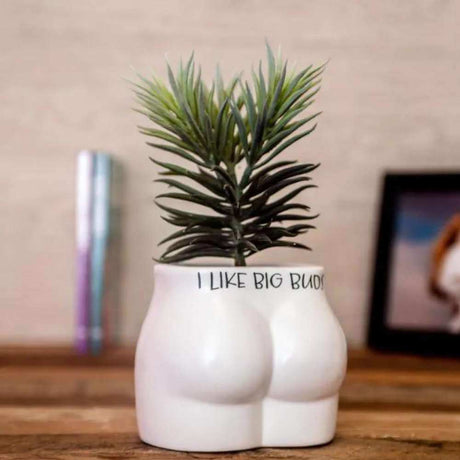 Put Some Plants On Planter - I Like Big Buds - Funky Gifts NZ