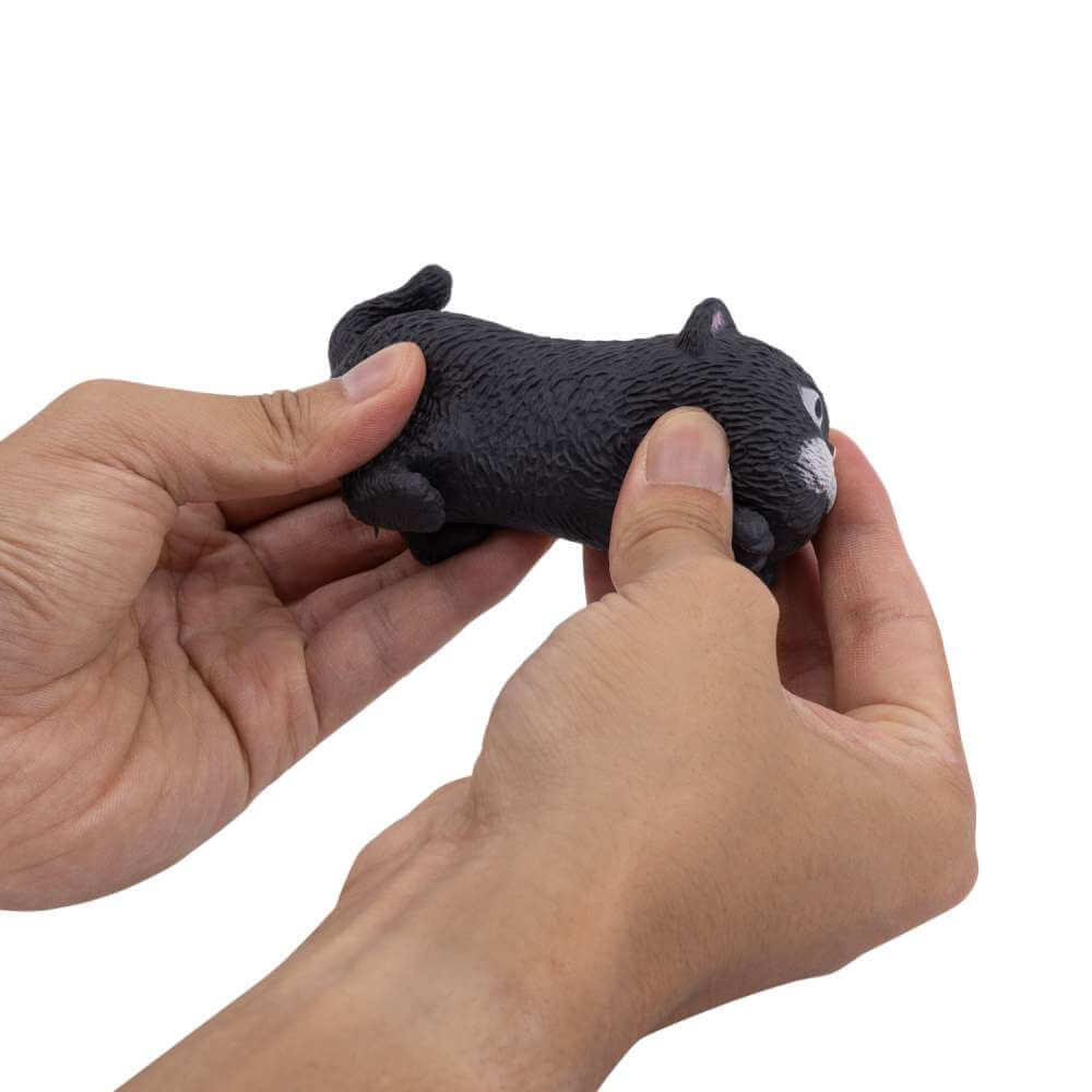 Stretchy Cat - Funky Gifts NZ