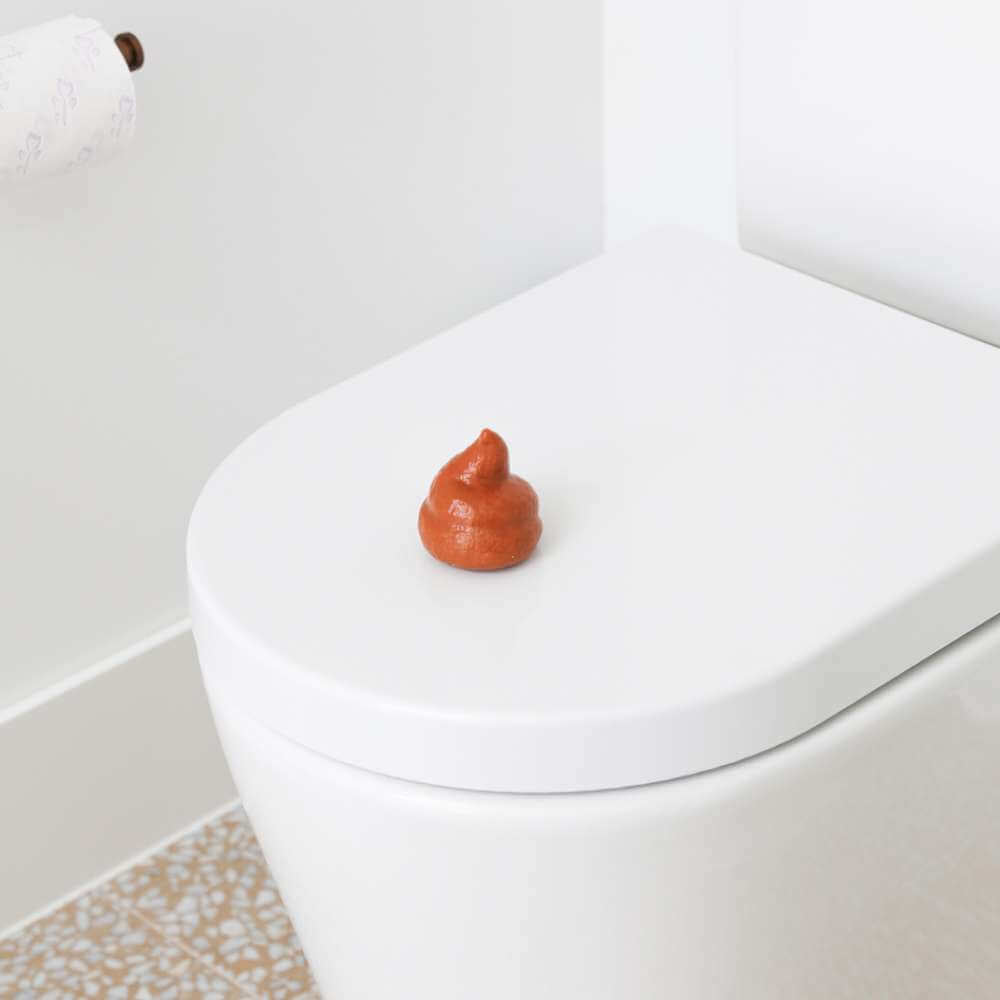 Squeeze Poo - Funky Gifts NZ