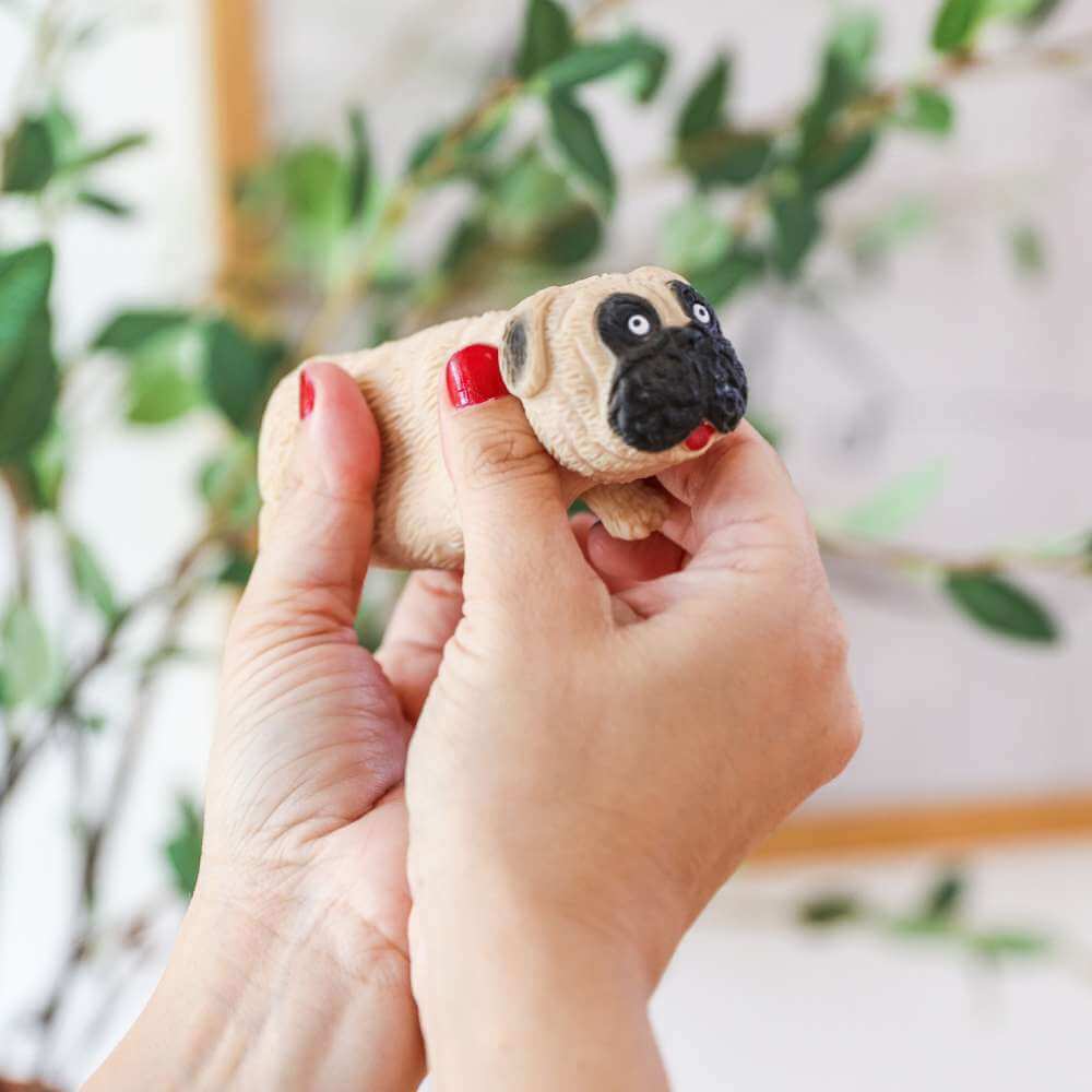 Stretchy Dog - Funky Gifts NZ