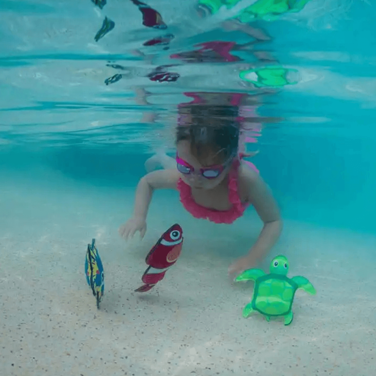 URGE Dive Animals - Funky Gifts NZ