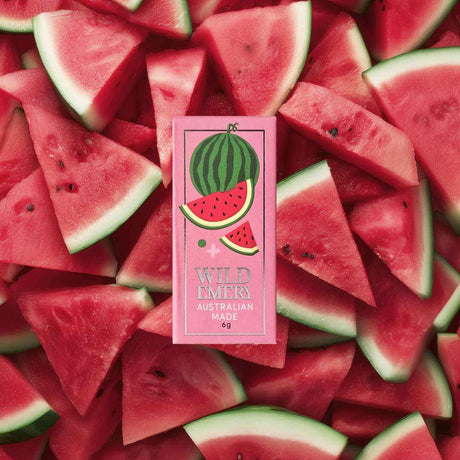 Mini Lip Balm - Watermelon - Funky Gifts NZ