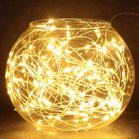 Warm White 5m Wire Seed Lights - Funky Gifts NZ