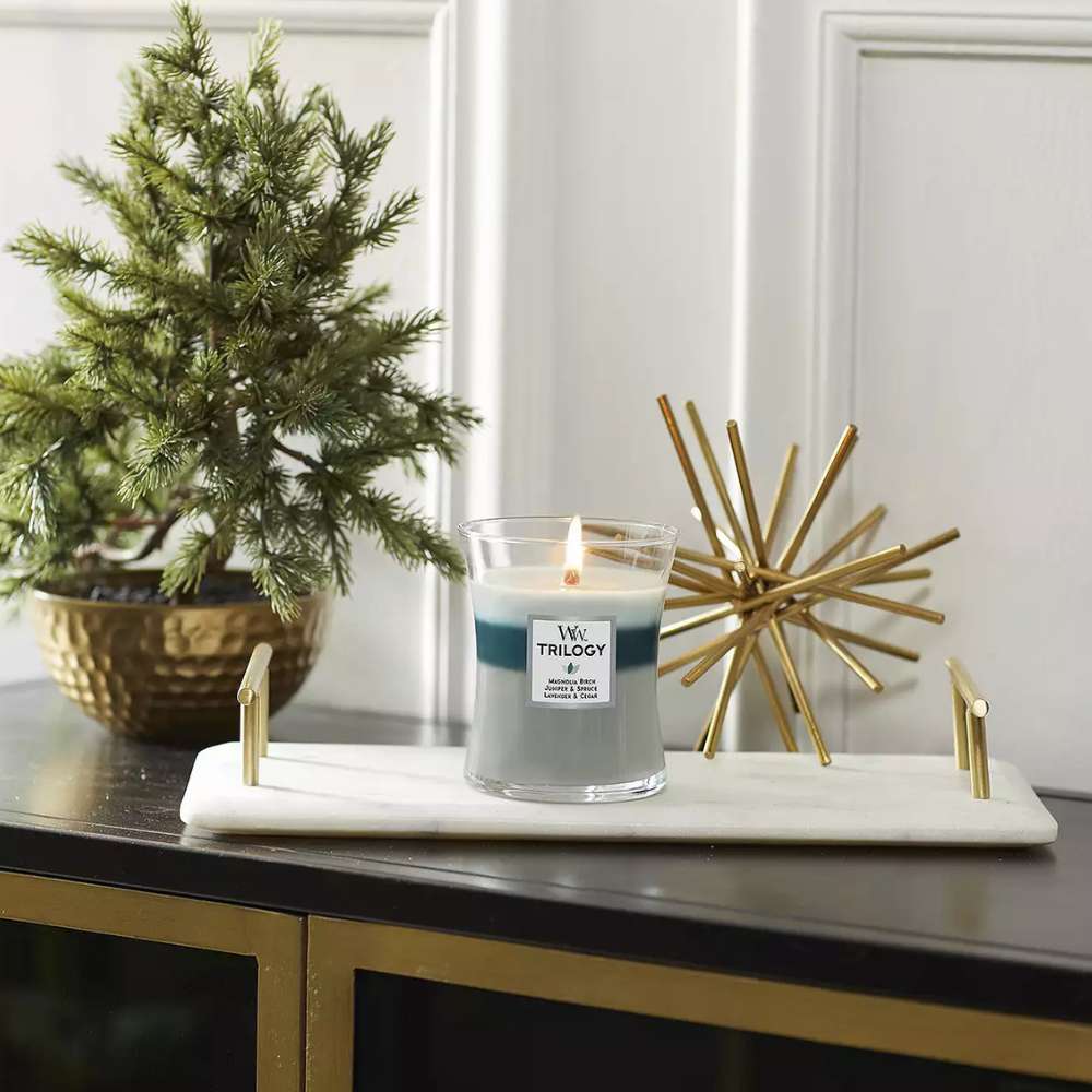 Medium WoodWick Scented Soy Candle - Icy Woodland - Funky Gifts NZ