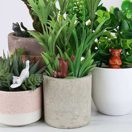 Yoga Cat Plant Markers - Funky Gifts NZ