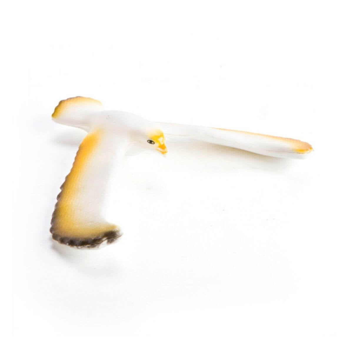 balance_bird_yellow.jpg