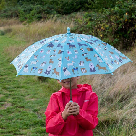 child in nature holding umbrella