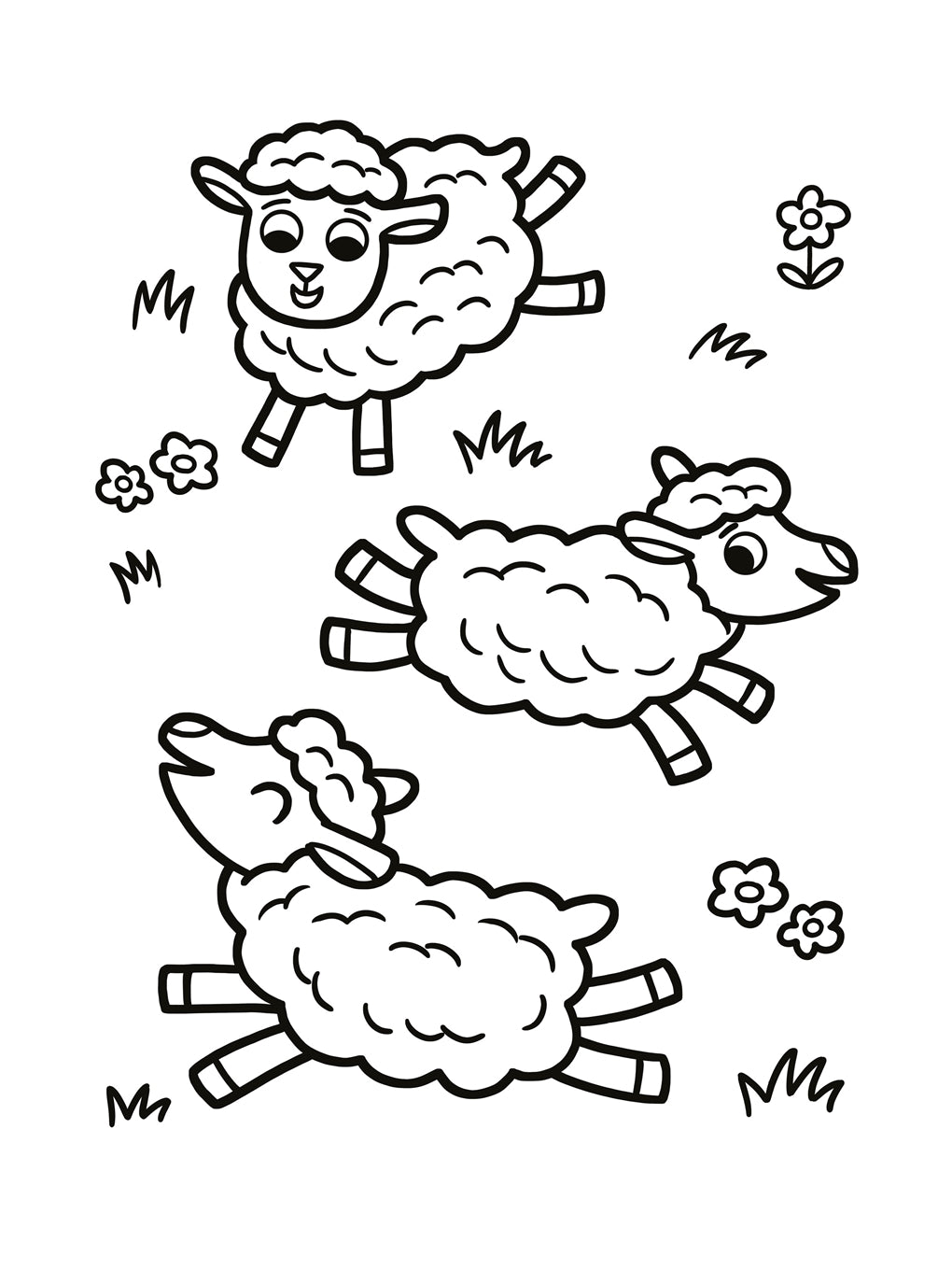 Amazing Colouring - Fantastic Farm - Funky Gifts NZ