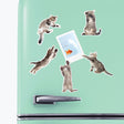 Action Cat Magnets - Funky Gifts NZ