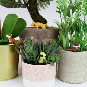 Adorable Dogs Plant Markers - Funky Gifts NZ