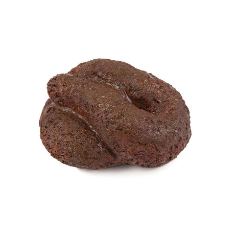 Busters Hide-A-Key Dog Poop - Funky Gifts NZ