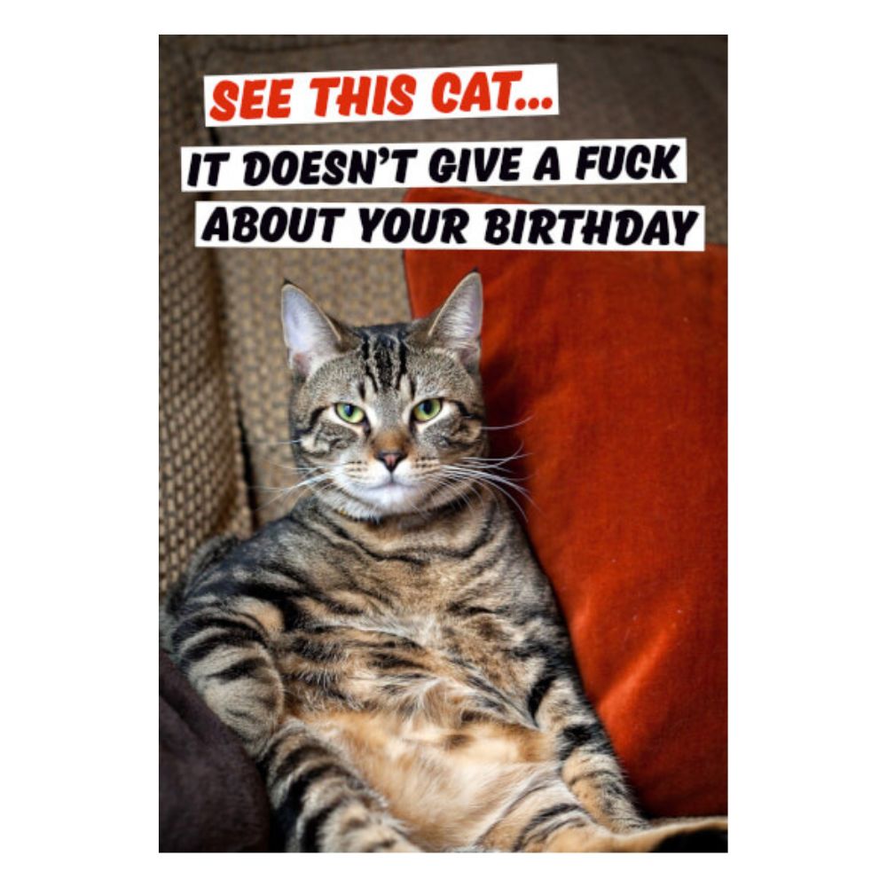 Greeting Card - See This Cat - Funky Gifts NZ