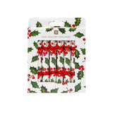 Botanical Holly Christmas Saucer Crackers - Funky Gifts NZ