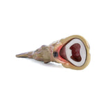 Bass Fish Bottle Opener - Funky Gifts NZ