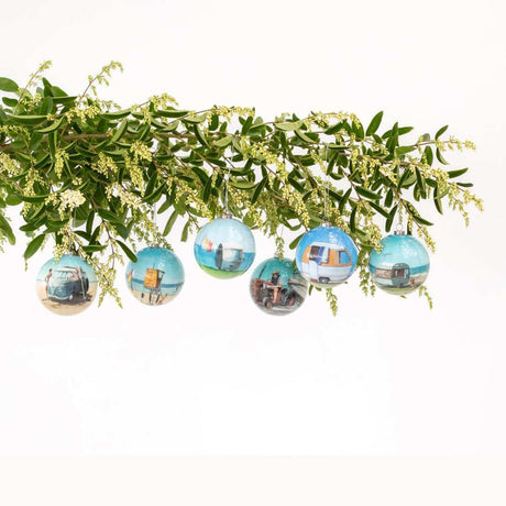 Box of Six NZ Summer Christmas Bauble Decoration - Funky Gifts NZ
