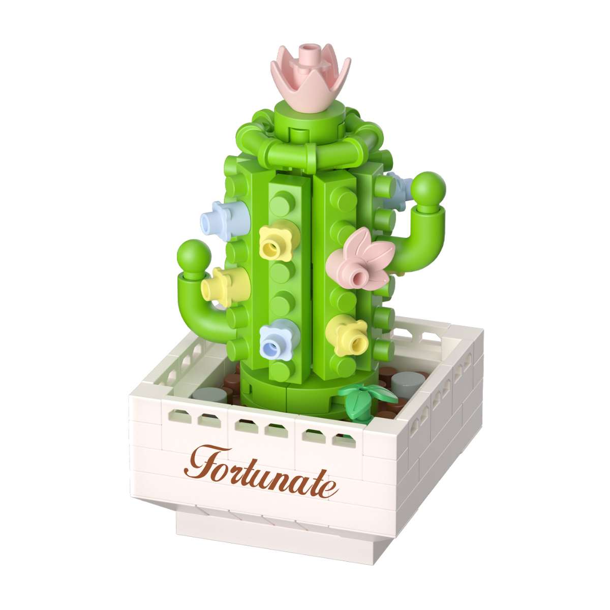 Cactus.jpg