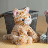 Catsy Kitty Ginger Cat - Funky Gifts NZ