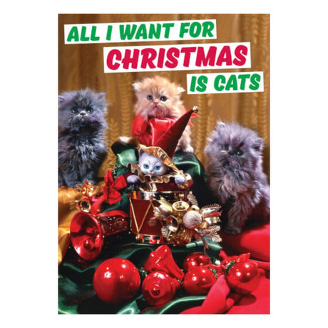 Christmas Greeting Card - All I Want - Funky Gifts NZ