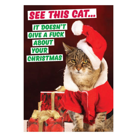 Christmas Greeting Card - See This Cat Christmas - Funky Gifts NZ