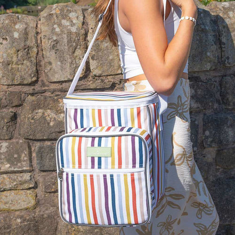 Country Living 4 Person Picnic Bag - Funky Gifts NZ