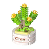 Crassula_marnieriana.jpg